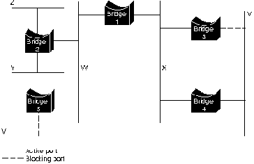 Алгоритм связующего дерева (Spanning-Tree Algoritm) (STA)